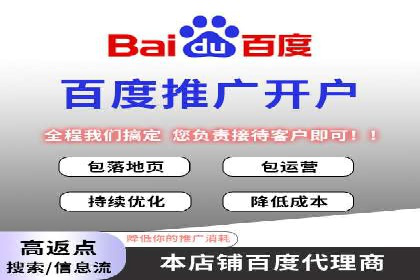 某某sem推广公司在某行业的应用与效果分析